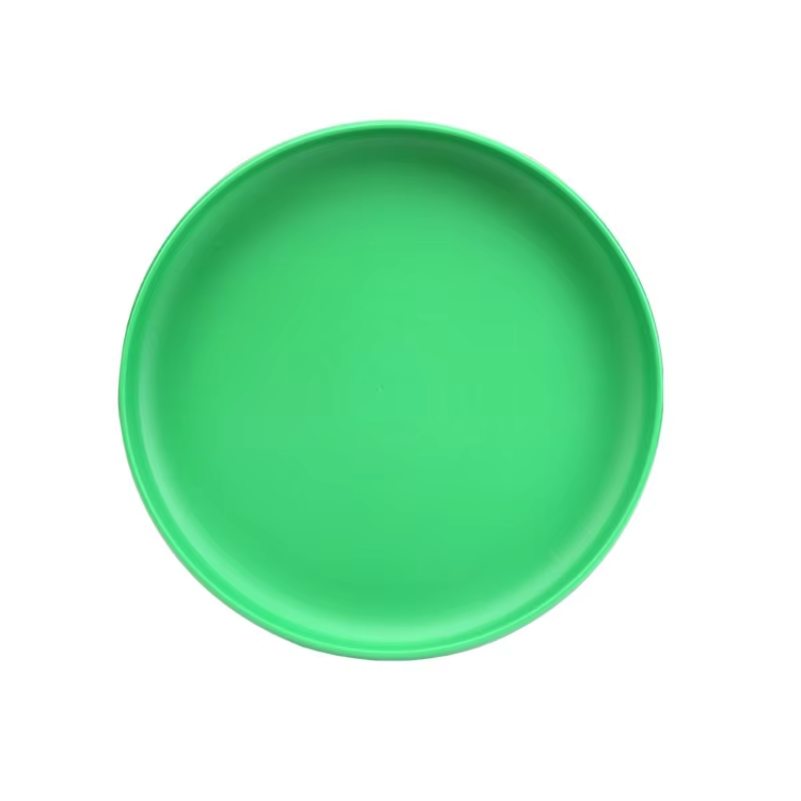 Frisbee Professionale da Ester - Frisbee Ultimate Disc recensione e prezzo